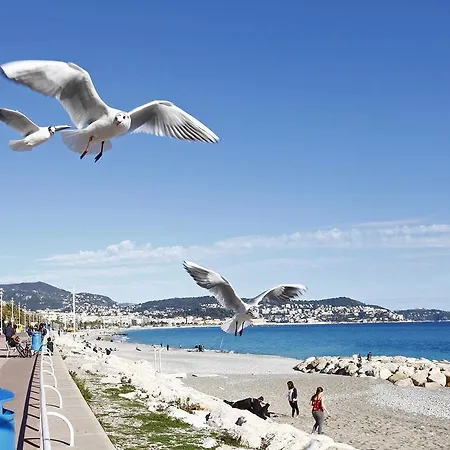 Apartment Studio Cosy 4 Personnes Dans Le Centre-ville De Nice
